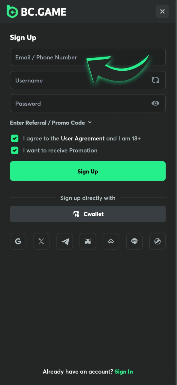 Insert your number or email to create BC Game account.