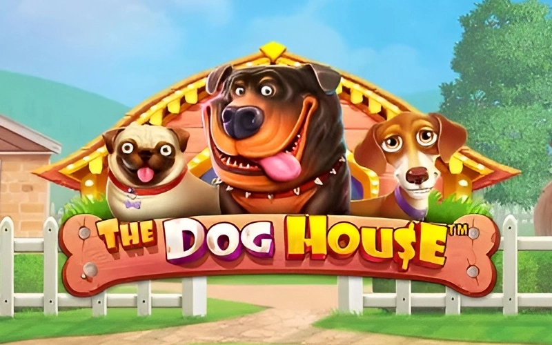 Fetch sticky wilds and high-paying multipliers in the fun-filled The Dog House slot available at BC Game.