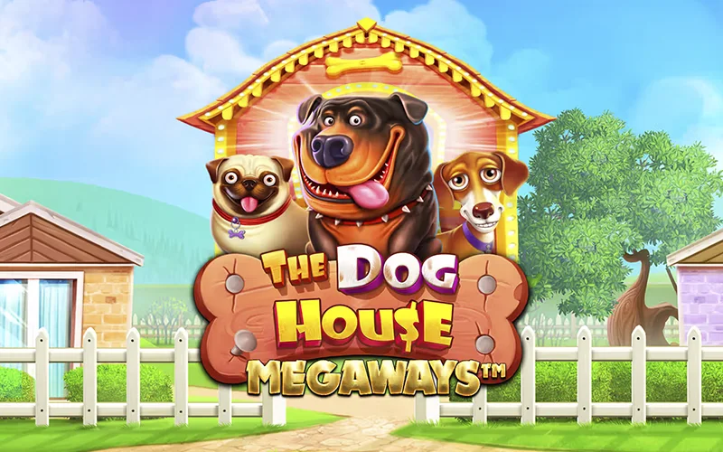 Play The Dog House slot at BC Game.